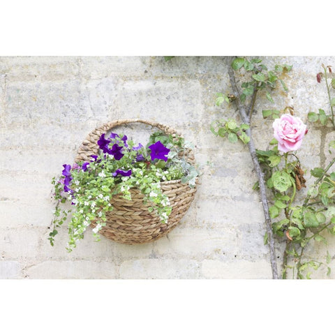 Smart Garden 16in Hyacinth Wall Basket