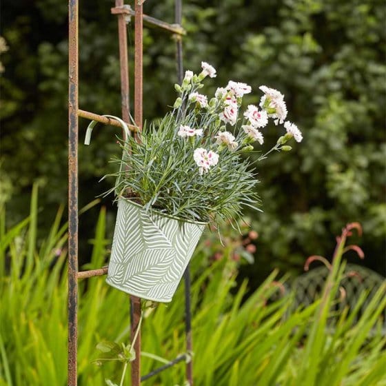 Smart Garden Hanging Pots Smart Garden 6" Fence and Balcony Hanging Pot - Fern - Sage