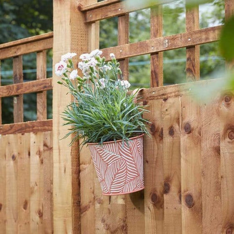 Smart Garden Hanging Pots Smart Garden 6" Fence and Balcony Hanging Pot - Fern - Terracotta