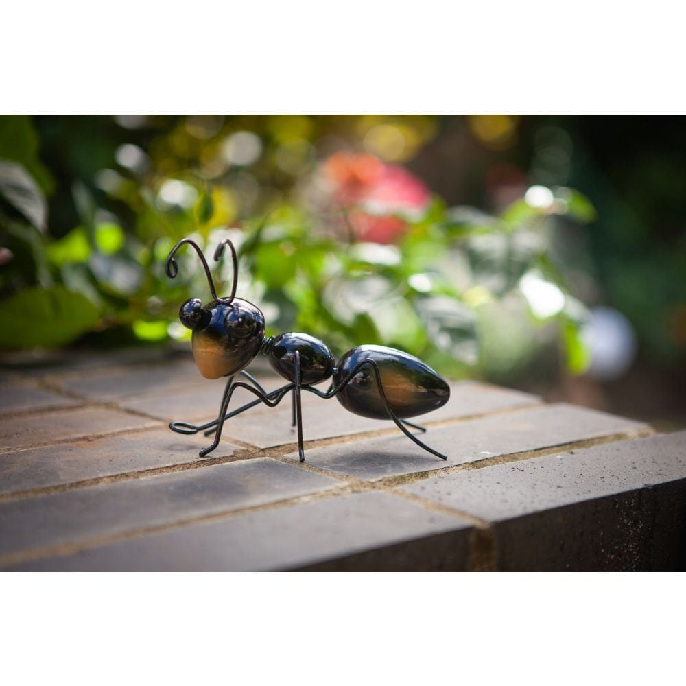 Smart Garden Ant Large
