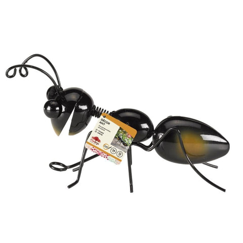 Smart Garden Ant Medium