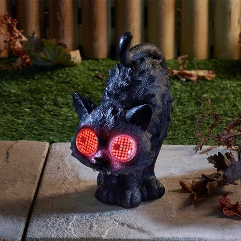 Smart Garden Halloween Home Decor Smart Garden Blinkin' Scaredy Cat Halloween Decoration