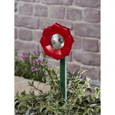 Smart Garden Bloom Beams Yellow