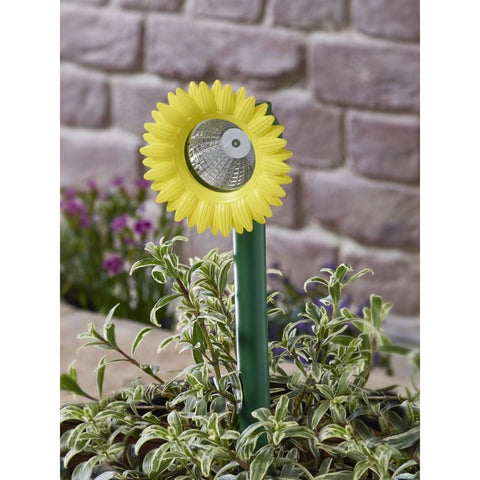 Smart Garden Bloom Beams Yellow
