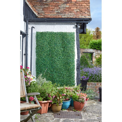 Smart Garden Boxwood Screening Panel 60x40cm