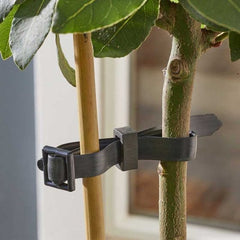 Smart Garden Cable Ties Smart Garden Buckle Rose and Shrub Ties 4pk