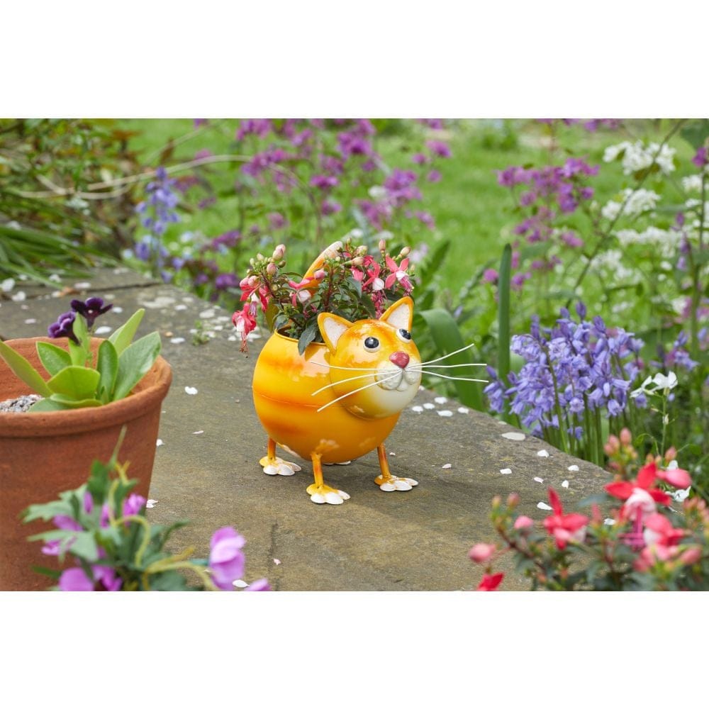 Smart Garden CatPot