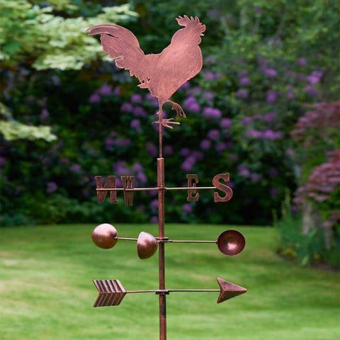 Smart Garden Wind Vane Smart Garden Cockerel WindVane XL