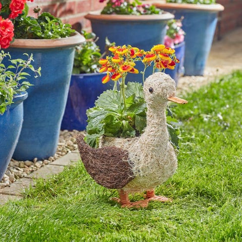 Smart Garden Planters & Pots Smart Garden Daphne Duck Planter