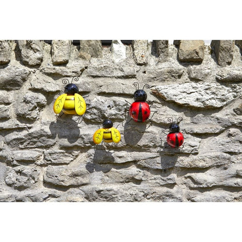 Smart Garden Decor Ladybird