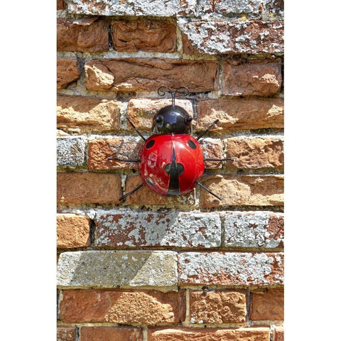 Smart Garden Decor Ladybird