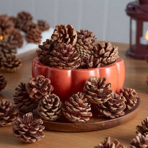Smart Garden Autumn Decor Smart Garden Decorative Pine Cones