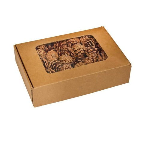 Smart Garden Autumn Decor Smart Garden Decorative Pine Cones