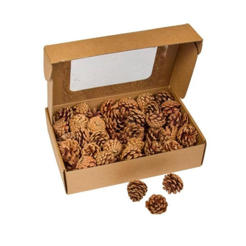 Smart Garden Autumn Decor Smart Garden Decorative Pine Cones