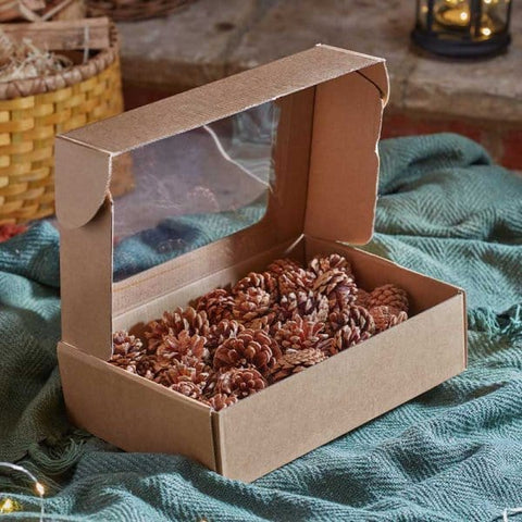 Smart Garden Autumn Decor Smart Garden Decorative Pine Cones