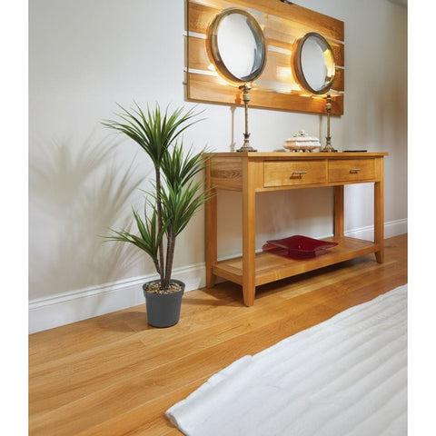 Smart Garden Dragon Tree