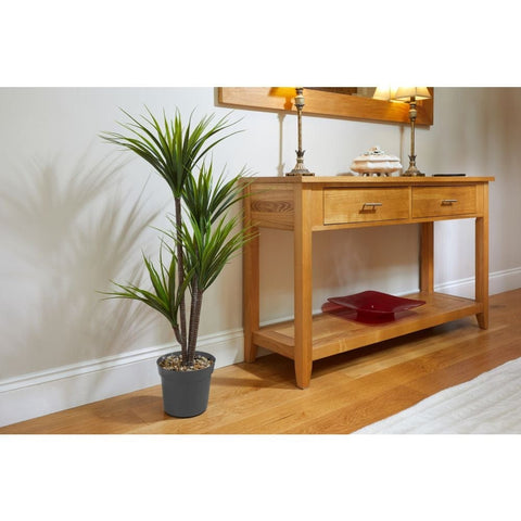 Smart Garden Dragon Tree