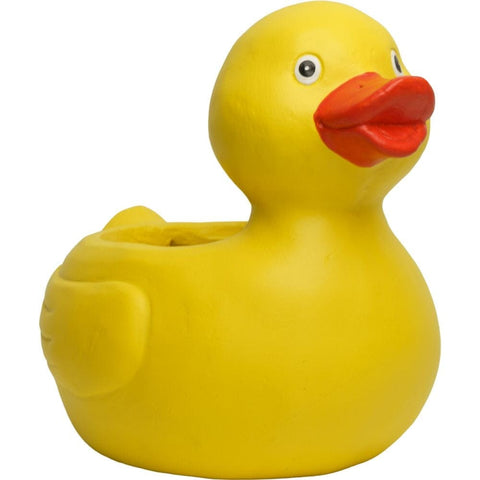 Smart Garden Duck Planter