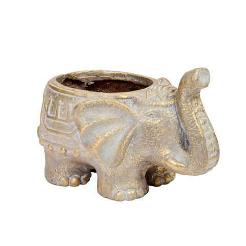 Smart Garden Elephant Planter
