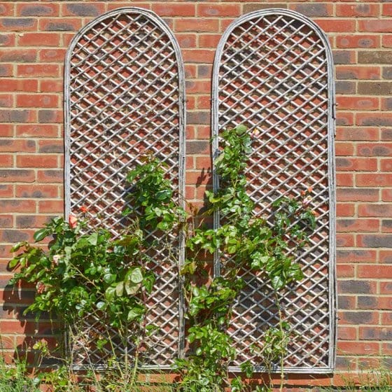 Smart Garden Extra Strong Round Top Framed Willow Trellis 1.8 x 0.6m ...