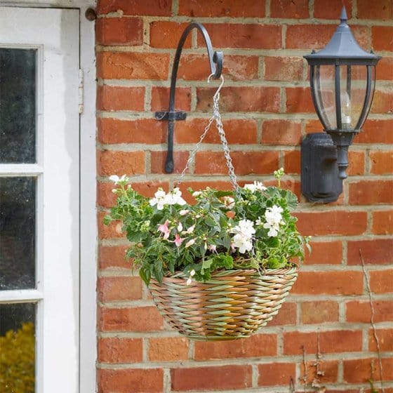 Smart Garden Hanging Baskets Smart Garden Forester 14" Hanging Basket