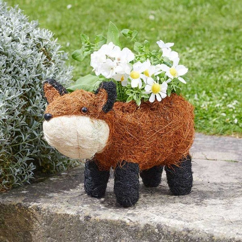 Smart Garden Novelty Planters Smart Garden Foxy Rustic Planter