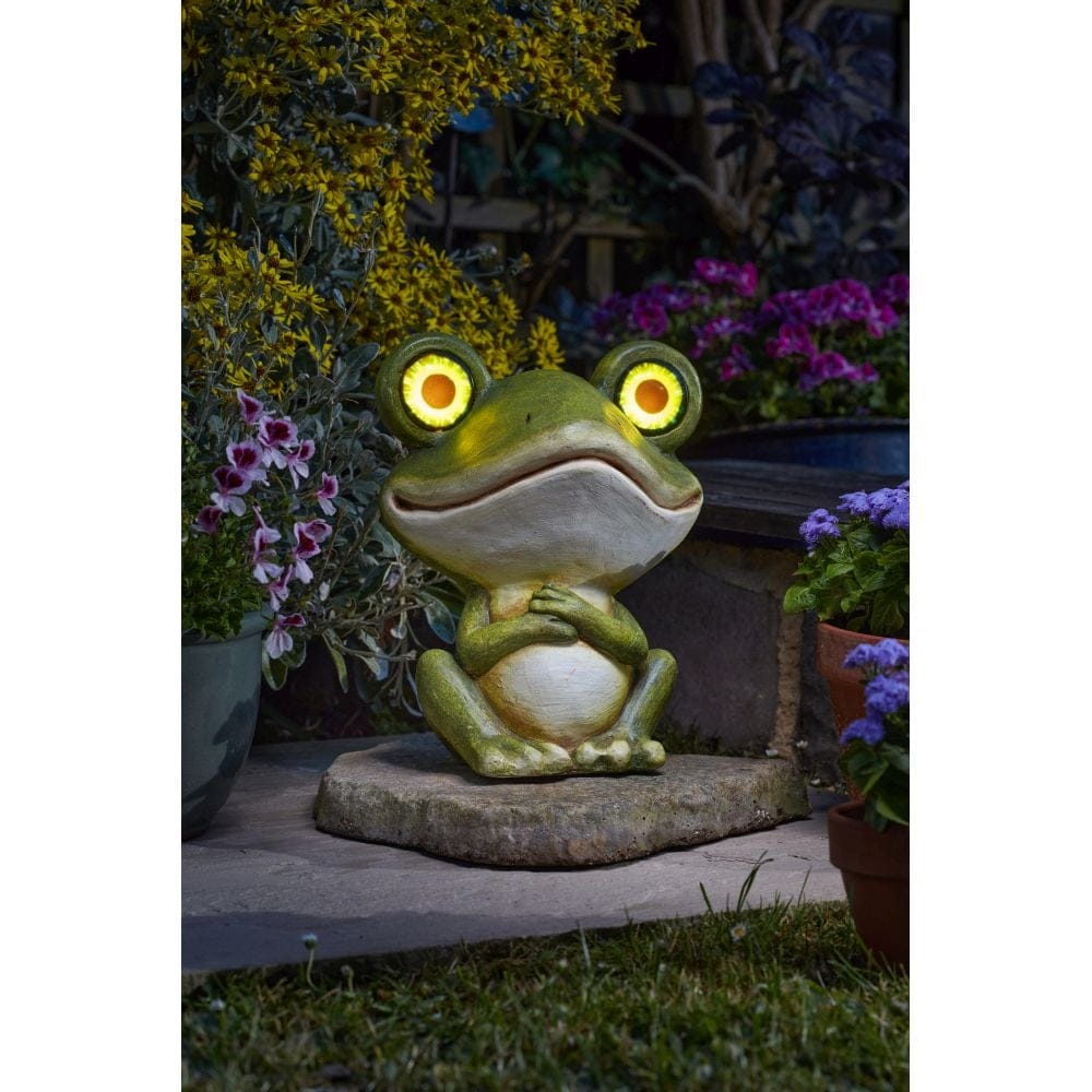 Smart Garden Frog