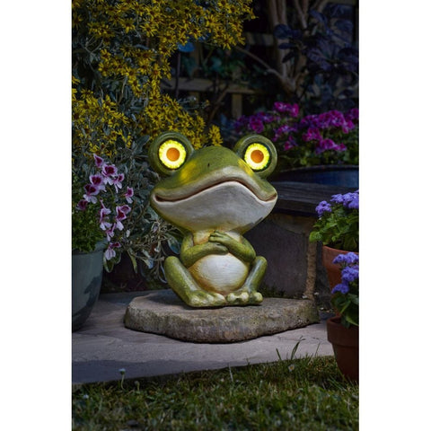 Smart Garden Frog