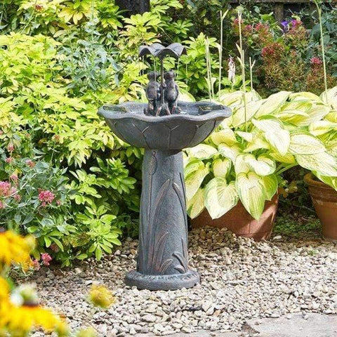 Smart Garden Water Feature Smart Garden Frog Frolics Solar Fountain