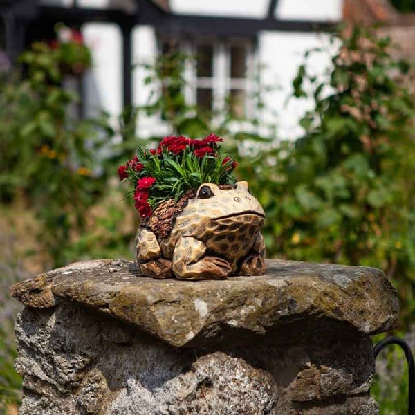 Smart Garden Planters & Pots Smart Garden Frog Planter