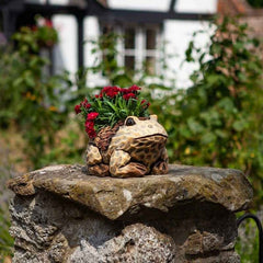 Smart Garden Planters & Pots Smart Garden Frog Planter