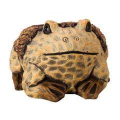 Smart Garden Planters & Pots Smart Garden Frog Planter