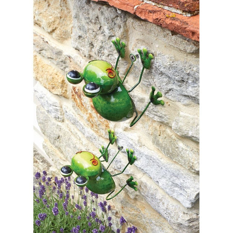 Smart Garden Funkee Frog Decor - Medium