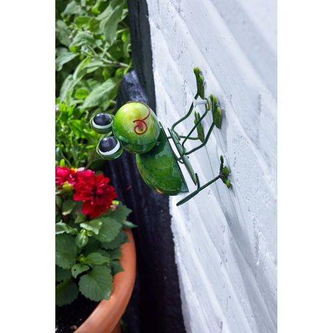 Smart Garden Funkee Frog Decor - Medium