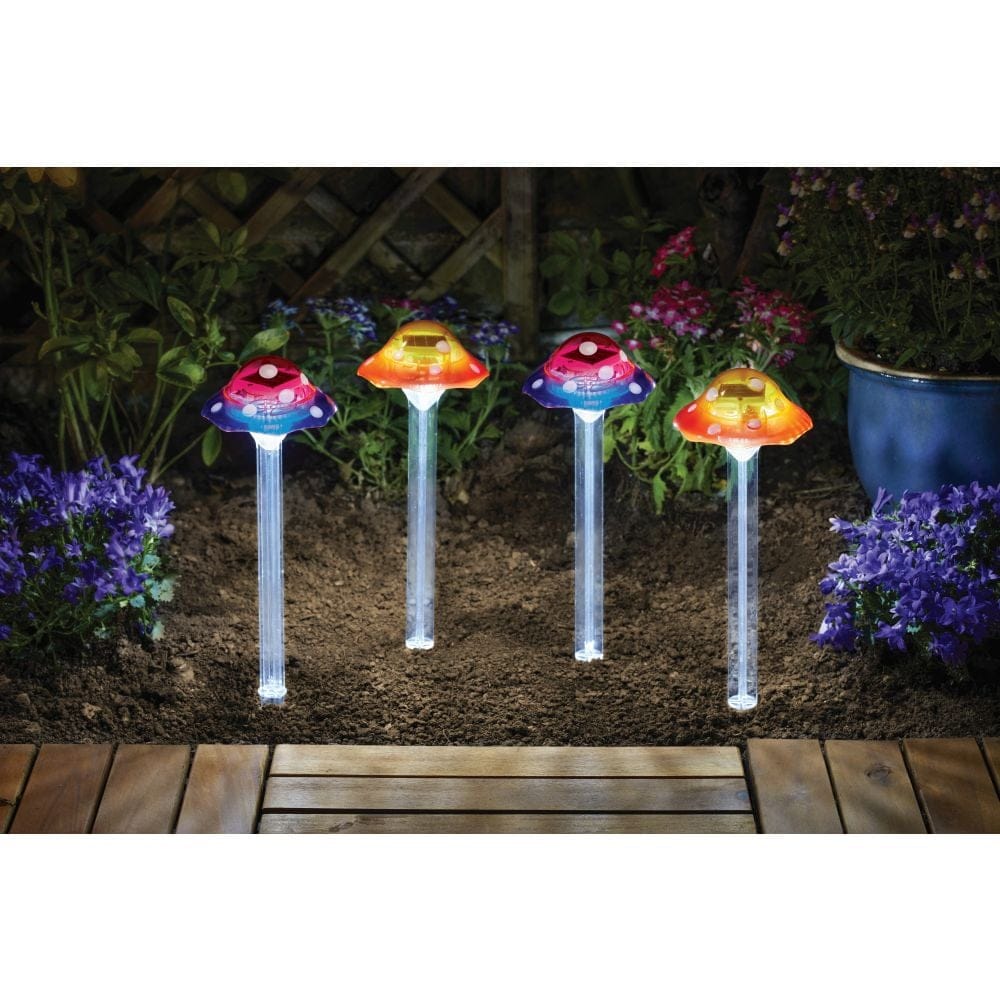 Smart Garden Funky Fungus - 4 PC Carry Pack