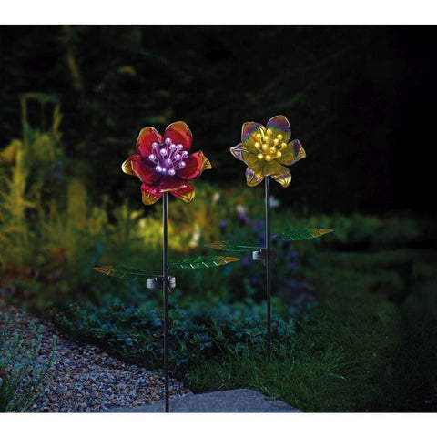 Smart Garden GloBloom - Pink