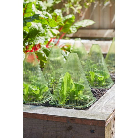 Smart Garden GloCloche 10-PK