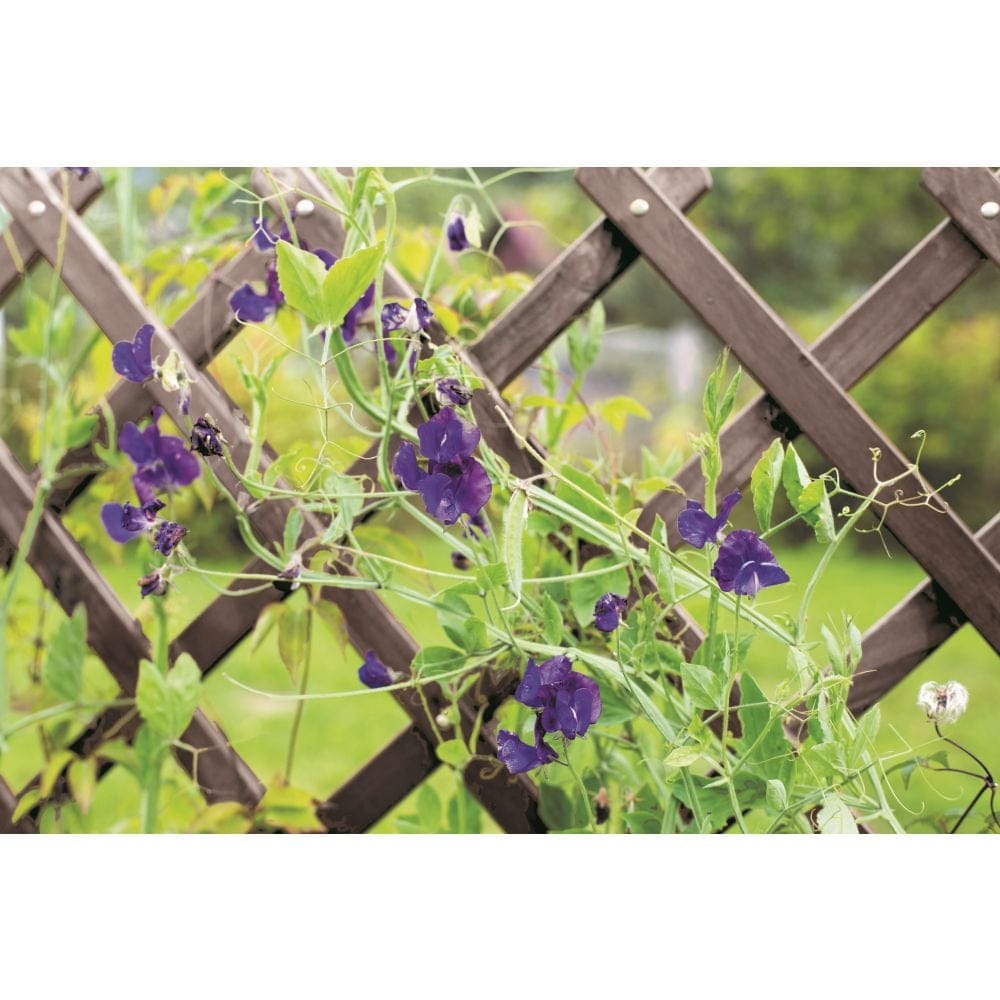 Smart Garden Heavy Duty Expanding Trellis - Slate Grey 1.8m x 0.3m