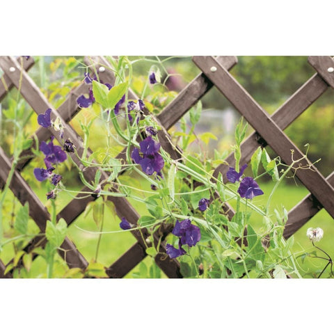 Smart Garden Heavy Duty Expanding Trellis - Slate Grey 1.8m x 0.6m