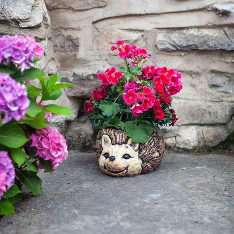 Smart Garden Planters & Pots Smart Garden Hedghog Planter