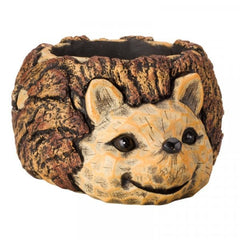 Smart Garden Planters & Pots Smart Garden Hedghog Planter