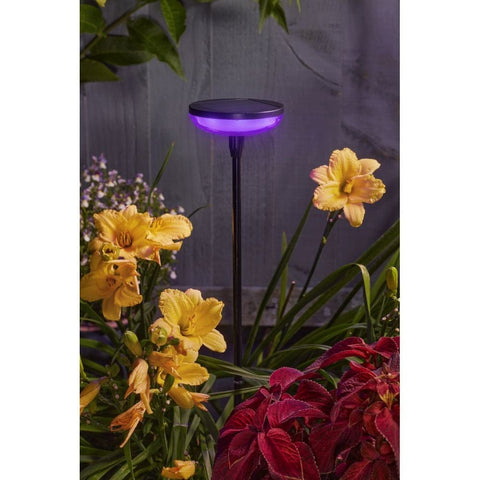 Smart Solar Hygge - Colour Changing