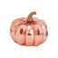 Smart Garden Pumpkin Lanterns Smart Garden Inlit Golden Pumpkin Decor Halloween