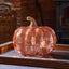 Smart Garden Pumpkin Lanterns Smart Garden Inlit Golden Pumpkin Decor Halloween