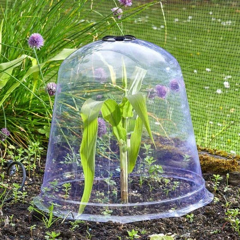 Smart Garden Bell Cloche Smart Garden Jumbo Bell Cloche 3pk