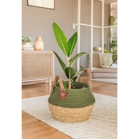 Smart Garden Kikapu Basket - Green - Large