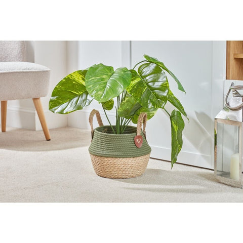 Smart Garden Kikapu Basket - Green - Large