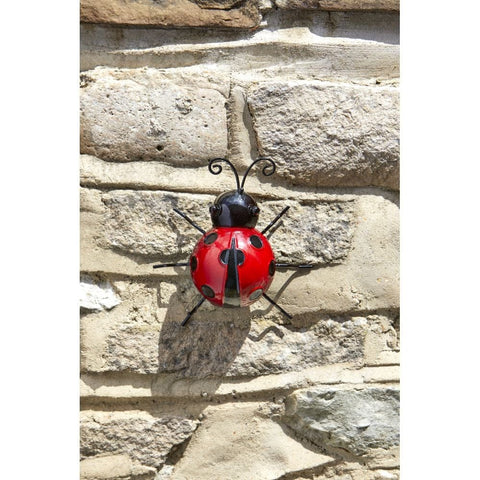 Smart Garden Large Decor Ladybird