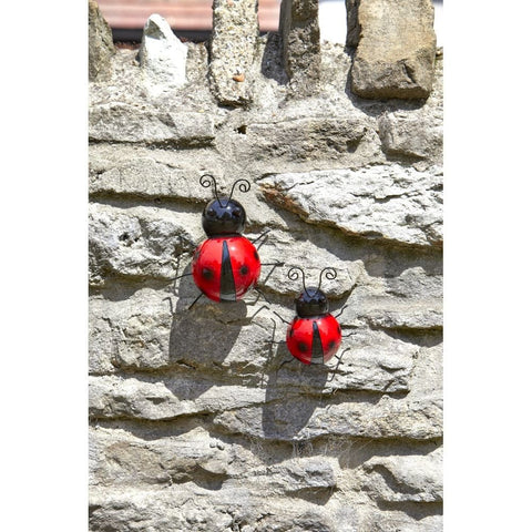 Smart Garden Large Decor Ladybird