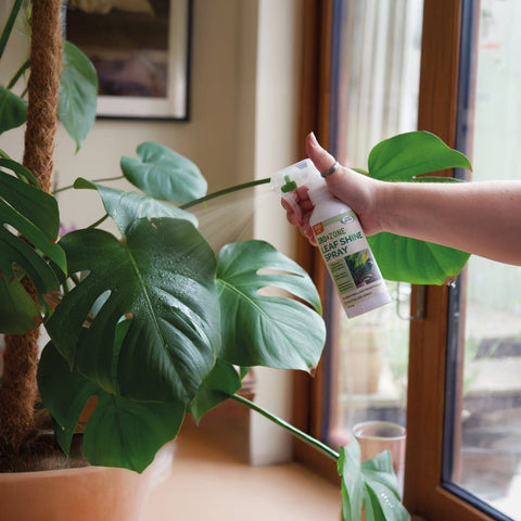 Smart Garden Leaf Shine Spray